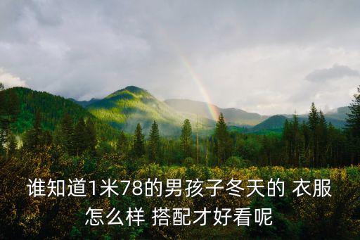 男童穿衣服搭配冬季,胖子冬季穿衣服的搭配技巧圖片...